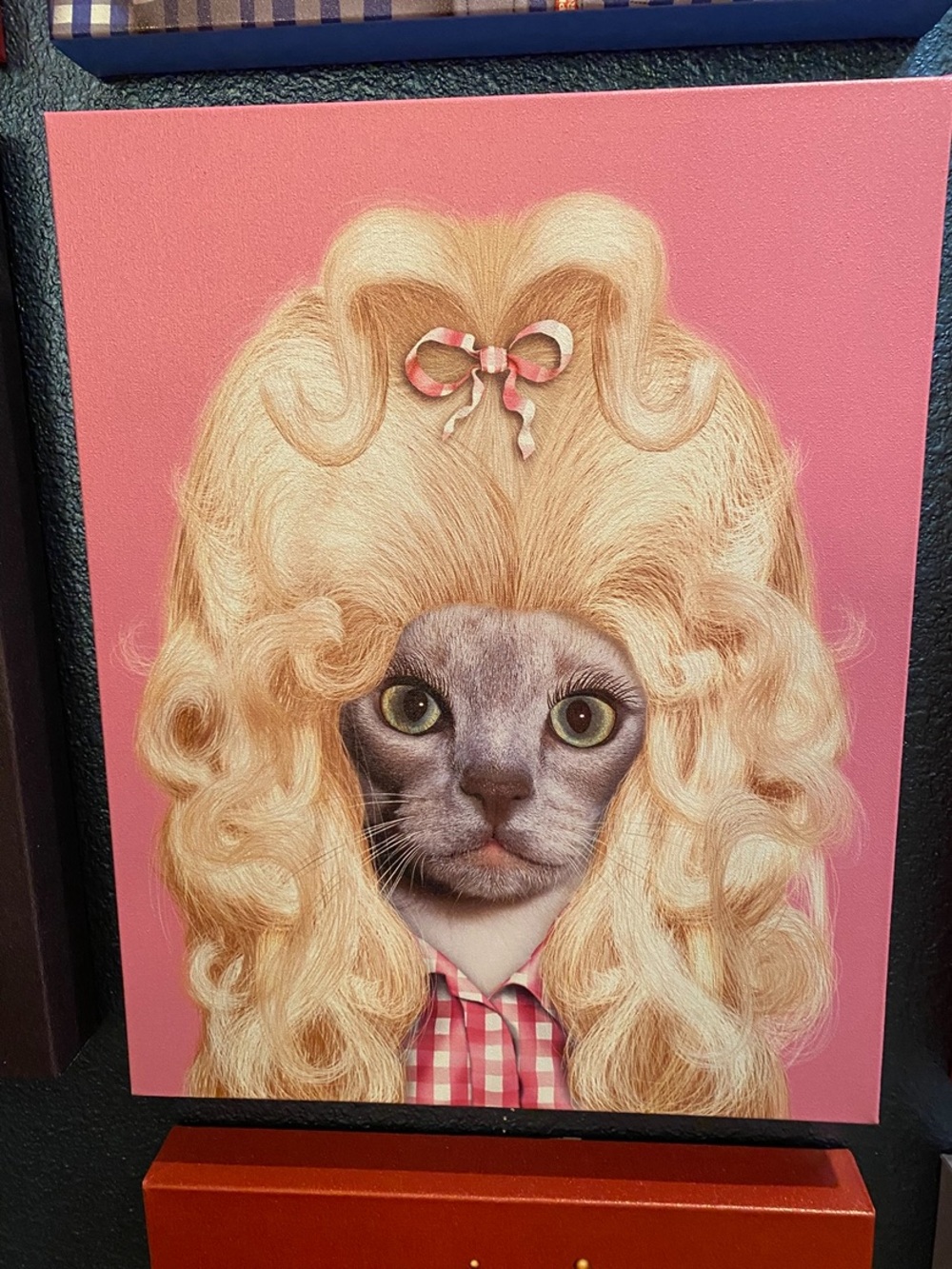 Pets Rock 16 x 20 Canvas Art           Dolly Parton